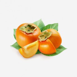 Brilliant Persimmons